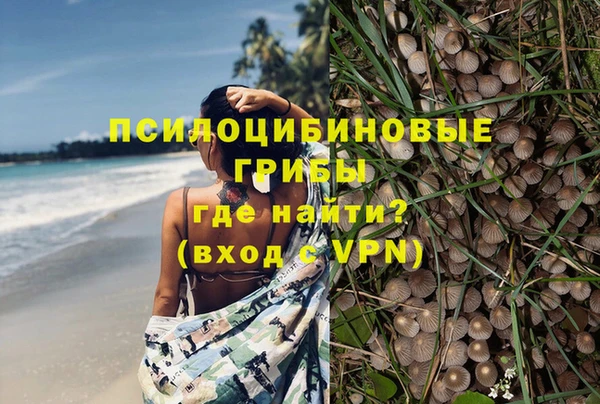 mdpv Армянск