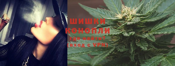 тгк Арсеньев
