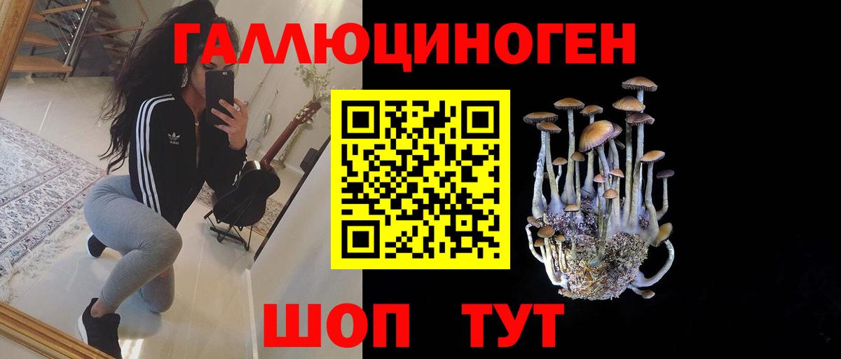 Новый Уренгой  Галлюциногенные грибы Psilocybine cubensis  Галлюциногенные грибы Psilocybine cubensis  Вход с VPN 